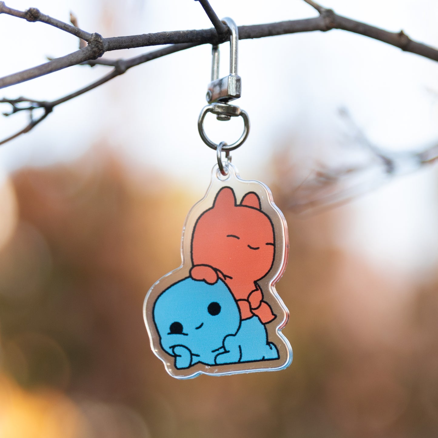 Set of Acrylic Keychains